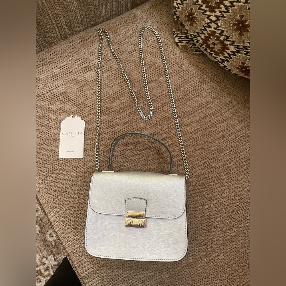 EUC CAMELIA ROMA SILVER LEATHER CROSSBODY BAG